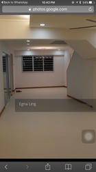 Blk 236 Lorong 1 Toa Payoh (Toa Payoh), HDB Executive #124534082